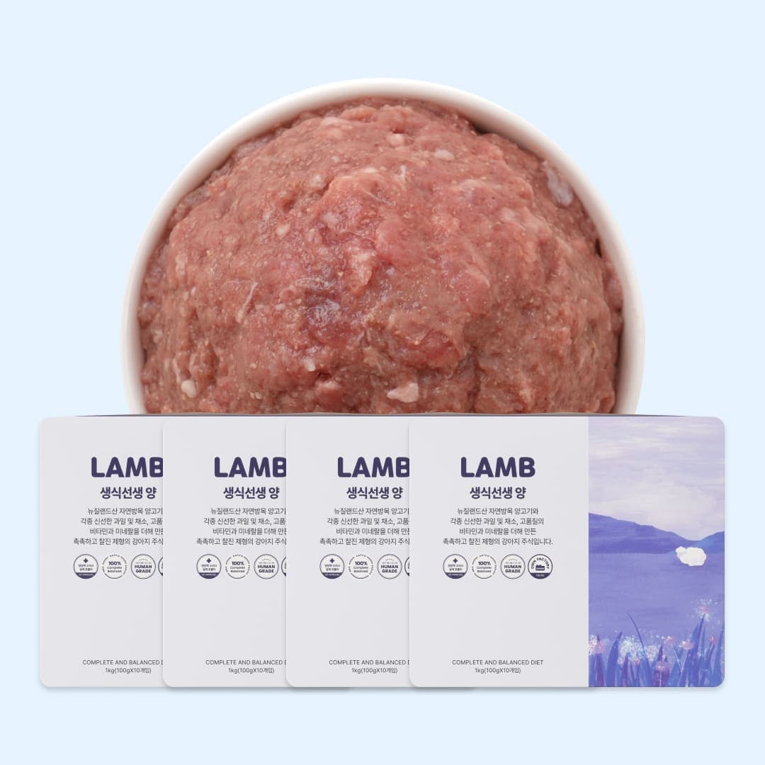 [강아지] 포옹 생식선생 양 4kg(100gX40개입)