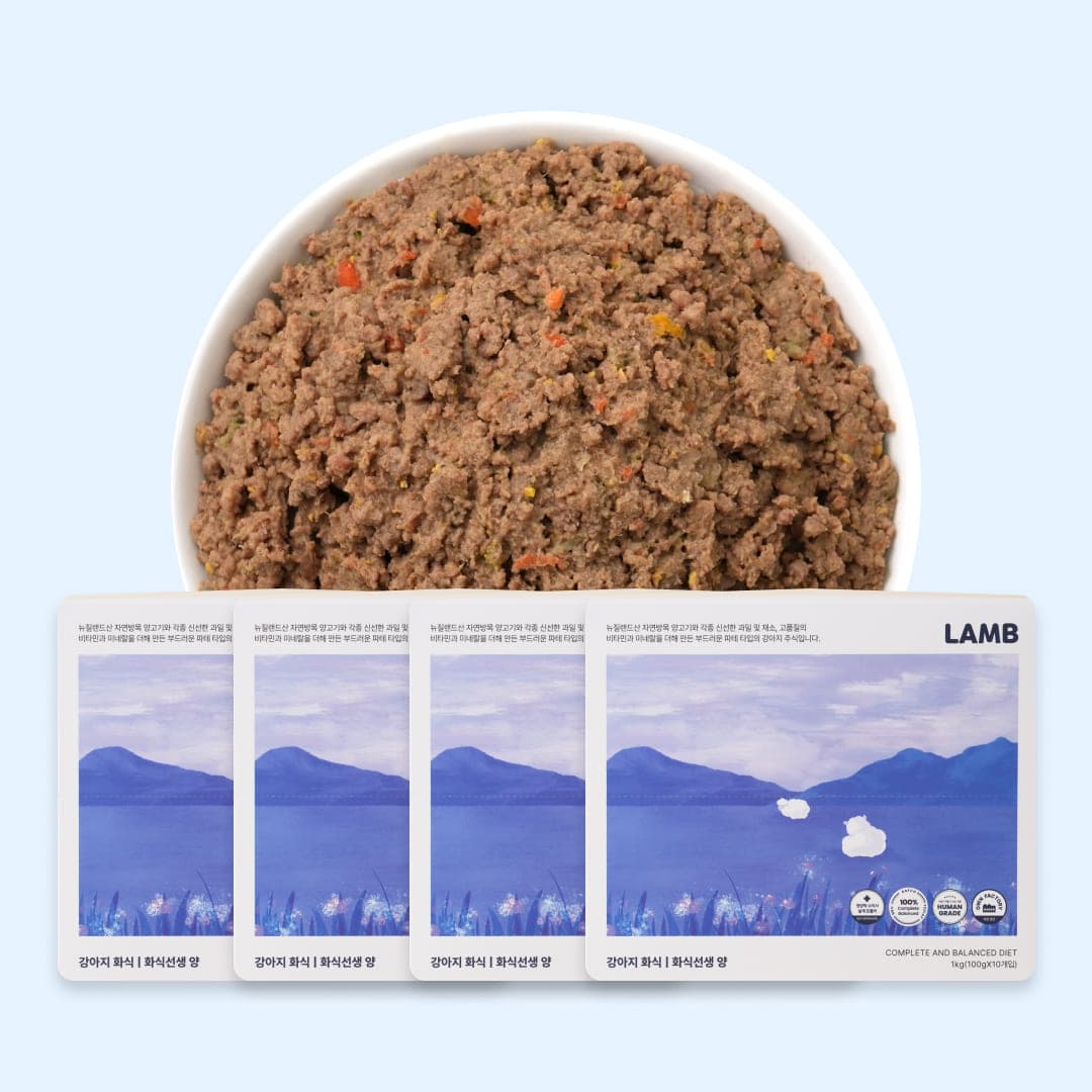 [강아지] 포옹 화식선생 양 4kg(100gX40개입)