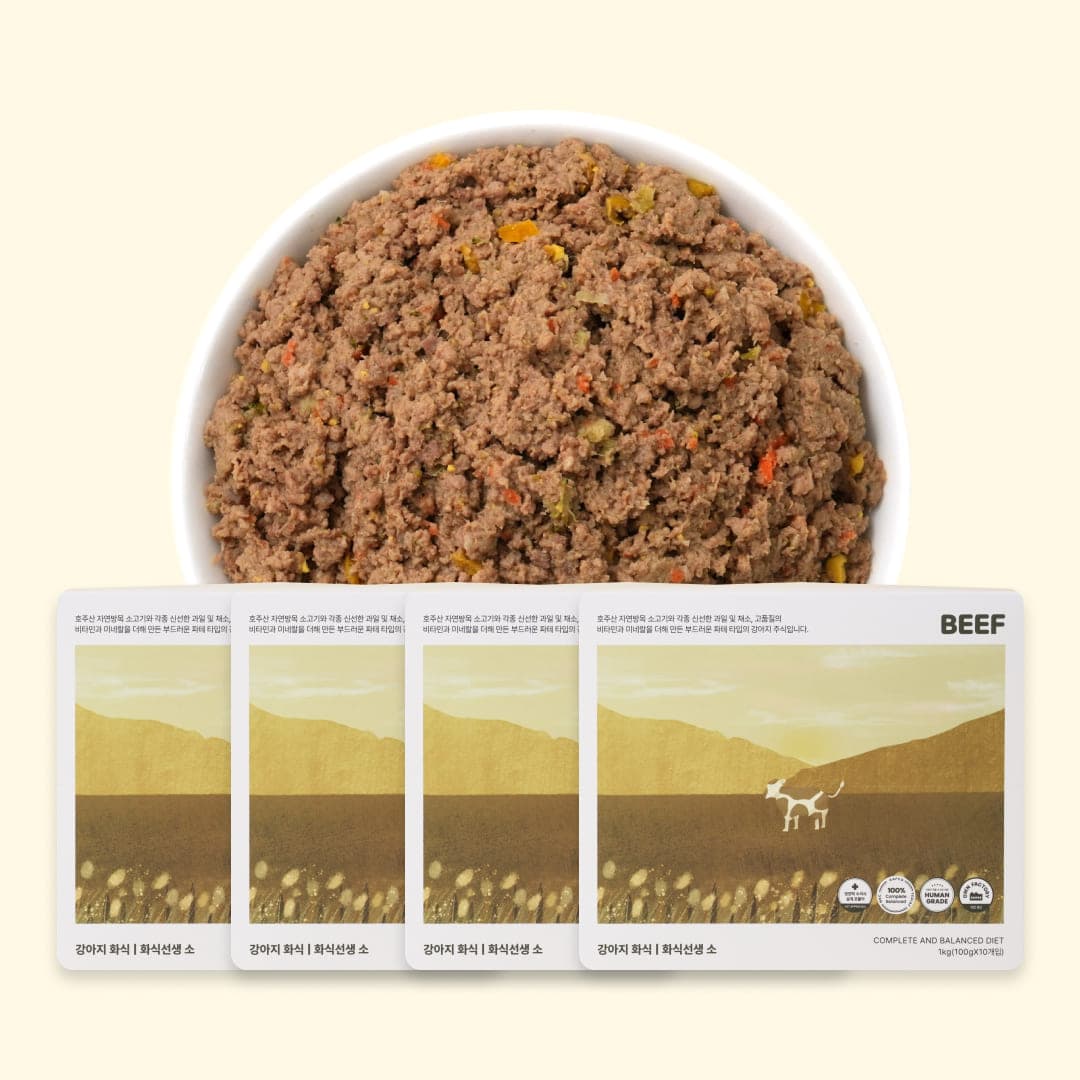 [강아지] 포옹 화식선생 소 4kg(100gX40개입)