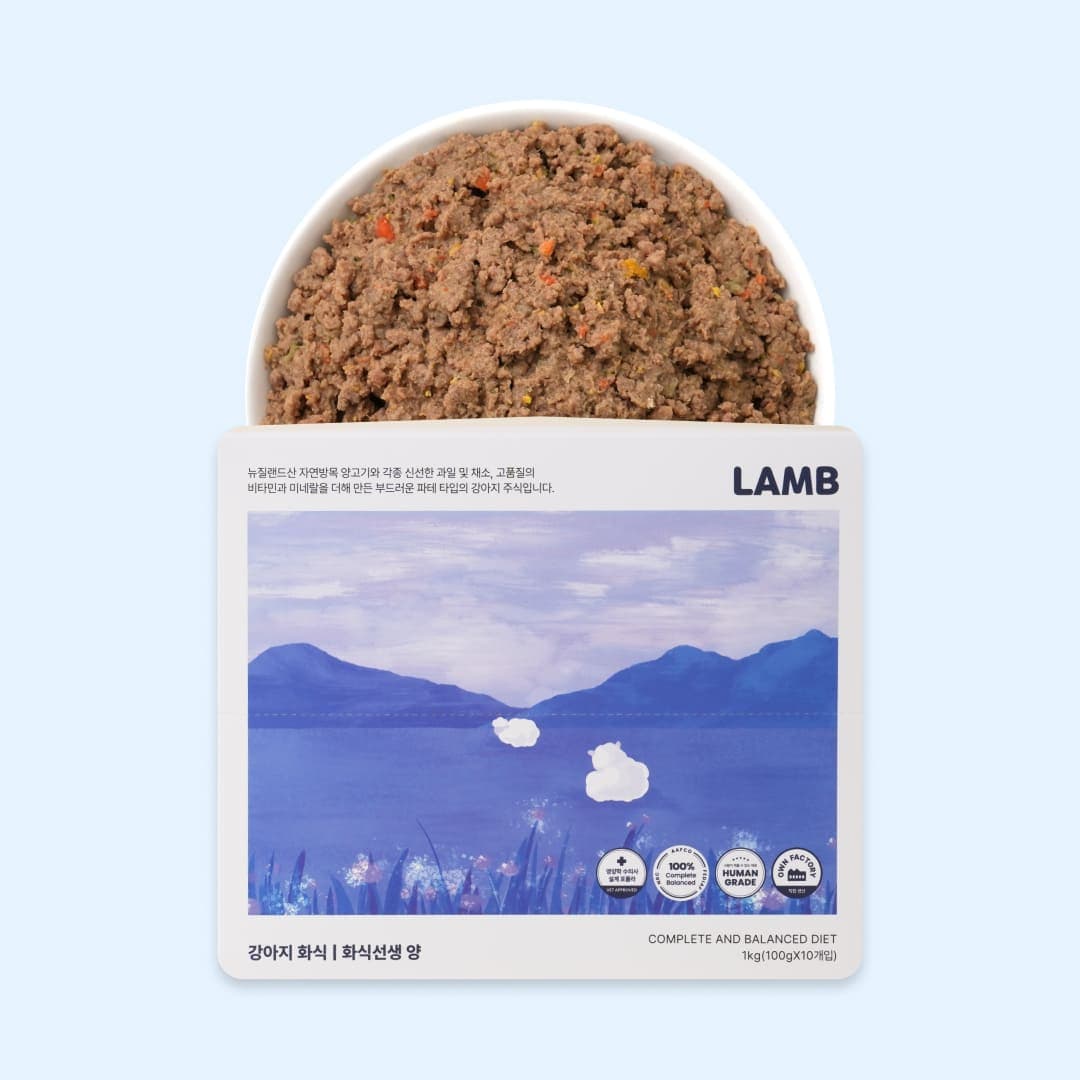 [강아지] 포옹 화식선생 양 1kg(100gX10개입)