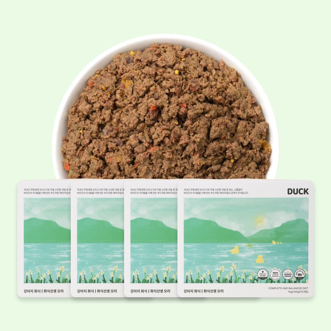 [강아지] 포옹 화식선생 오리 4kg(100gX40개입)