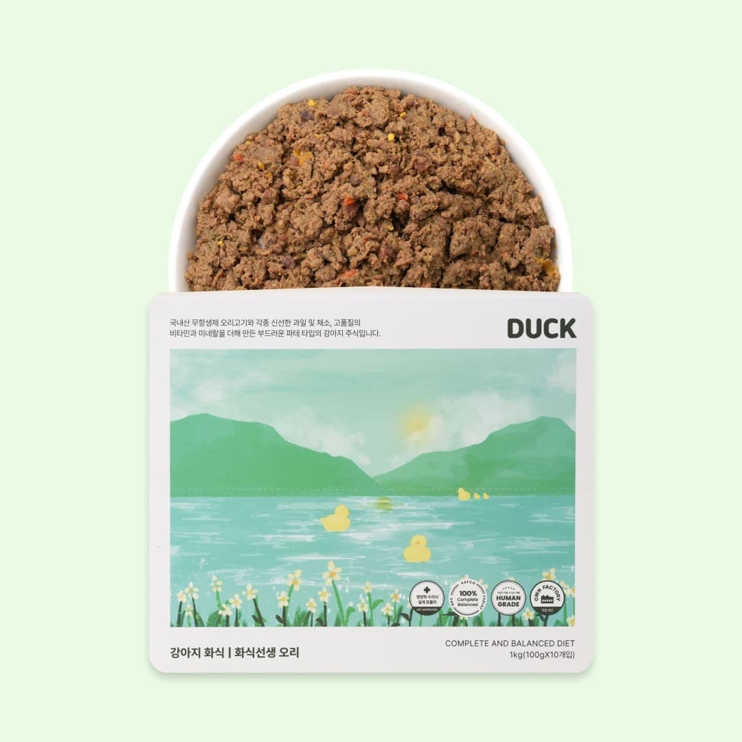 [강아지] 포옹 화식선생 오리 1kg(100gX10개입)