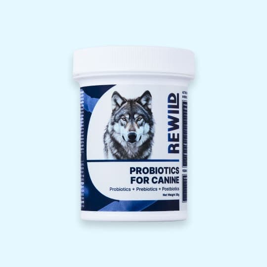 [강아지] 리와일드 프로바이오틱스 포 케이나인 강아지 유산균 30g