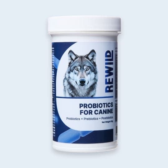 [강아지] 리와일드 프로바이오틱스 포 케이나인 강아지 유산균 60g