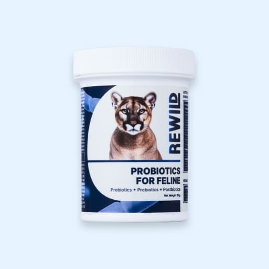 [고양이] 리와일드 프로바이오틱스 포 필라인 고양이 유산균 30g