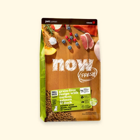 [강아지] 나우 프레쉬 스몰브리드 키블 퍼피 2.7kg