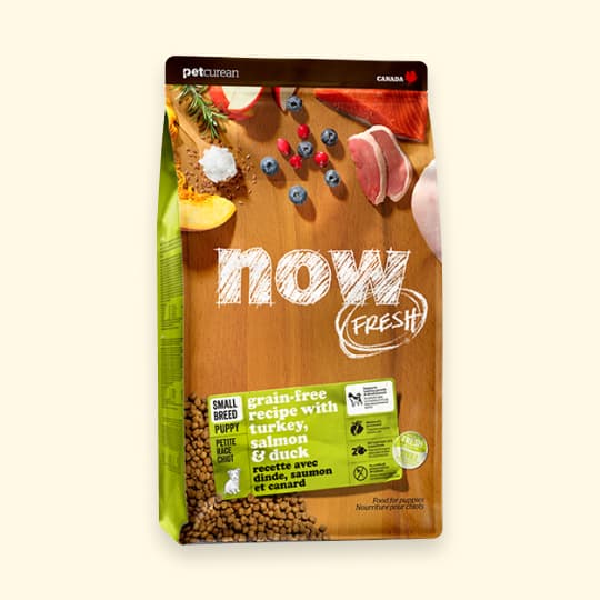 [강아지] 나우 프레쉬 스몰브리드 키블 퍼피 5.4kg