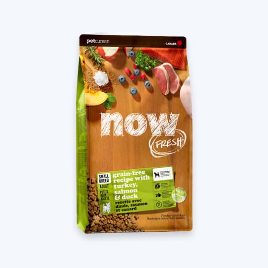 [강아지] 나우 프레쉬 스몰브리드 키블 어덜트 2.7kg