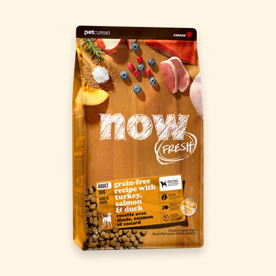 [강아지] 나우 프레쉬 올브리드 키블 어덜트 5.4kg