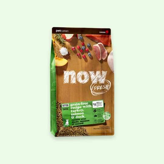 [고양이] 나우 프레쉬 키튼 고양이 1.3kg