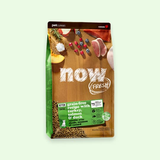 [고양이] 나우 프레쉬 키튼 고양이 3.6kg