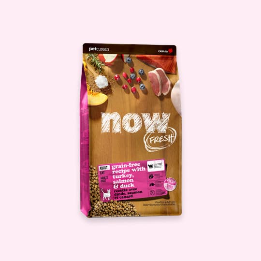 [고양이] 나우 프레쉬 어덜트 고양이 1.3kg