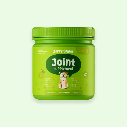 [강아지] 제리스타일스 관절 영양제 300g(75개입)