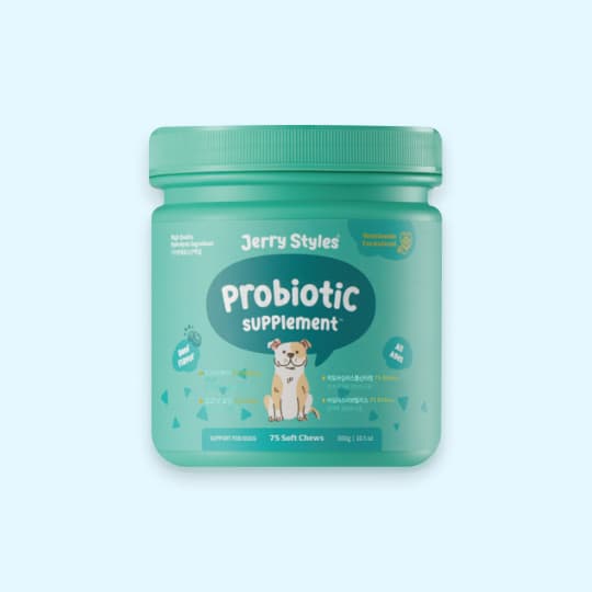 [강아지] 제리스타일스 프로바이오틱 유산균 영양제 300g(75개입)