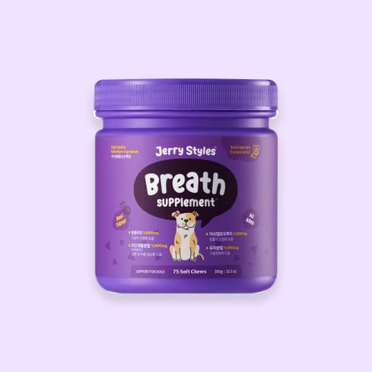 [강아지] 제리스타일스 기관지 영양제 300g(75개입)