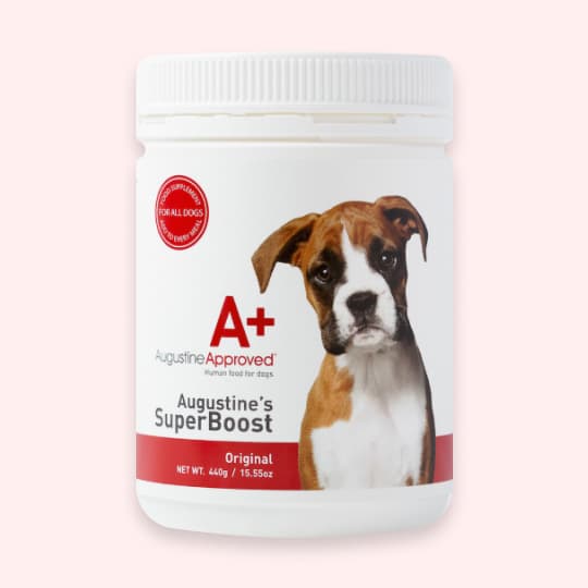 [강아지] 어거스틴 어프로브드 종합 보충제 슈퍼부스트 440g