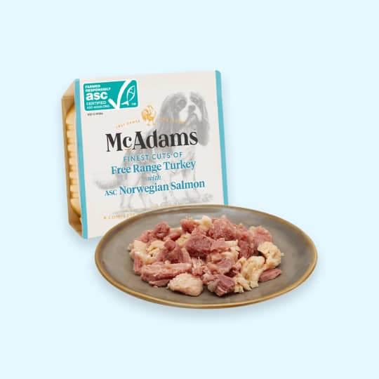 [강아지] 맥아담스 독 자유방목 터키 & ASC 노르웨이 연어 150g