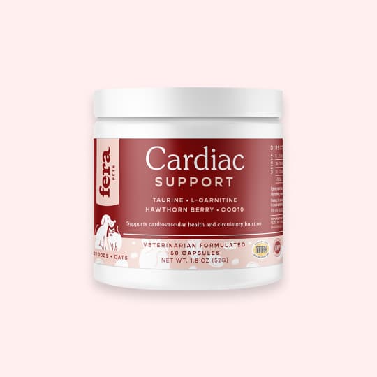 [공용] 페라 카디악 서포트 60캡슐(심장 건강 케어)