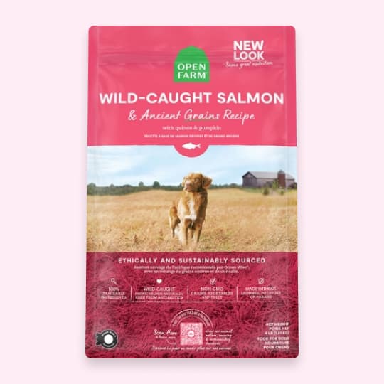 [강아지] 오픈팜 독 에이션트 그레인 키블 연어 9.97kg