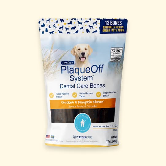 [강아지] 프로덴 플라그오프 덴탈케어 본 치킨&호박 482g