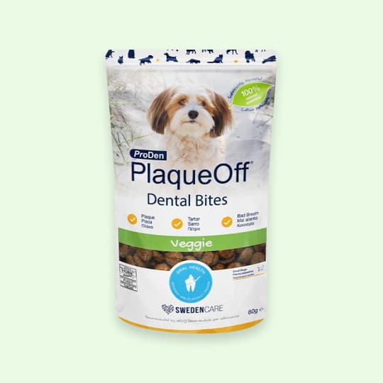 [강아지] 프로덴 플라그오프 바이트 60g