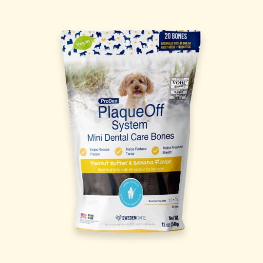 [강아지] 프로덴 플라그오프 덴탈케어 본 미니 피넛버터&바나나 340g