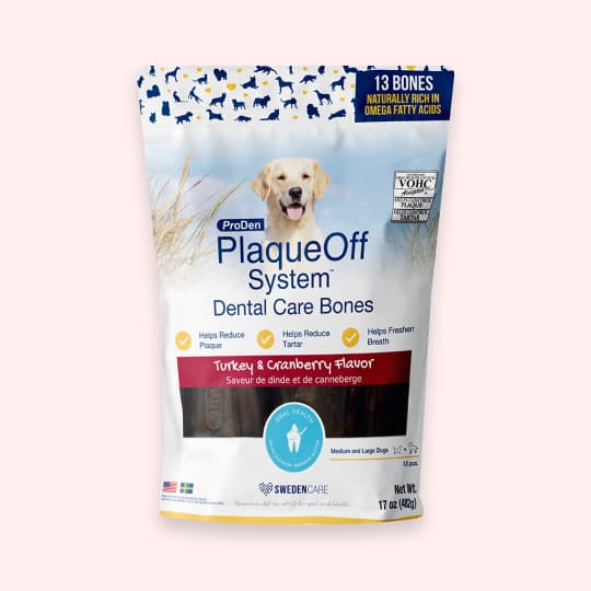 [강아지] 프로덴 플라그오프 덴탈케어 본 칠면조&크랜베리 482g