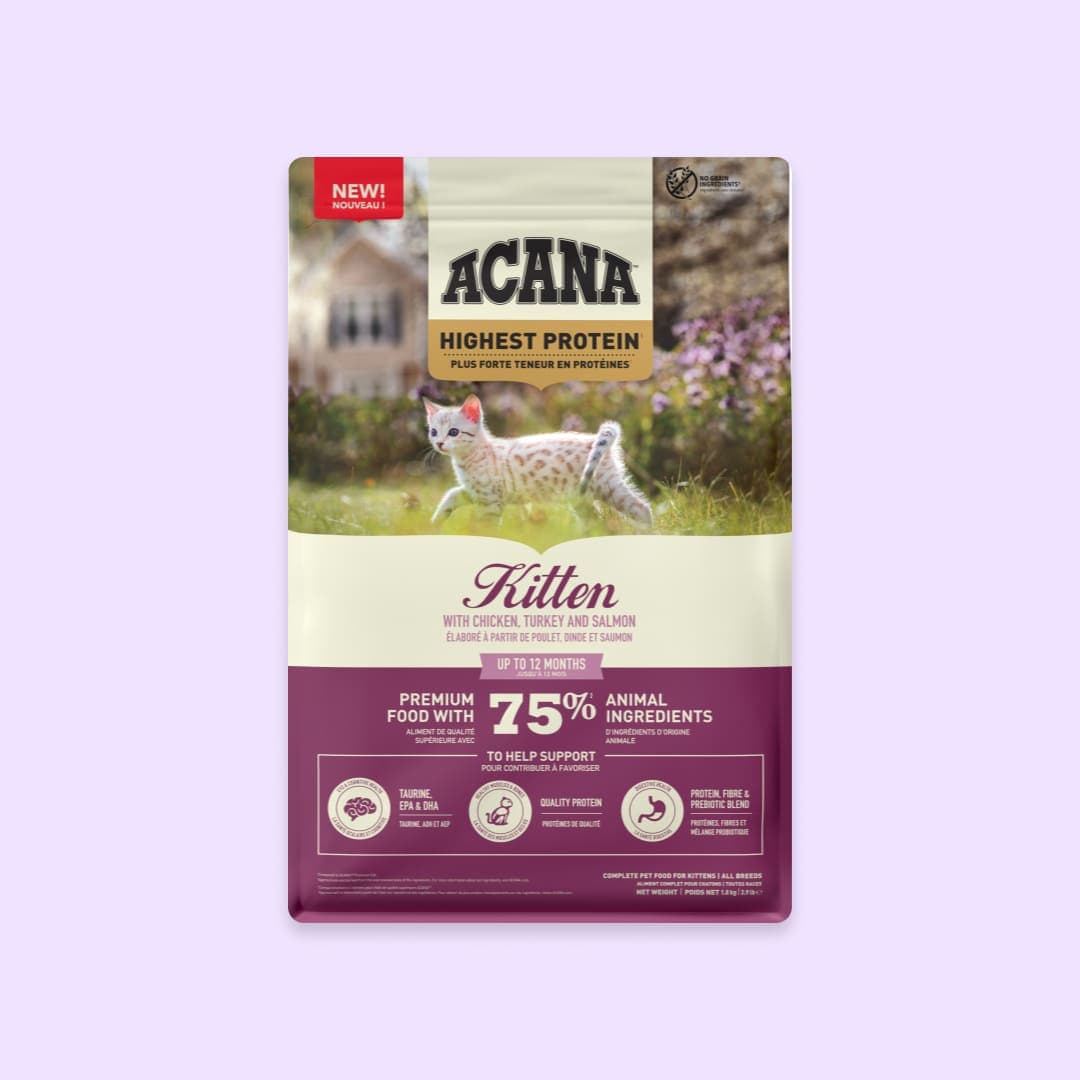 [고양이] 아카나 하이프로틴 키튼 1.8kg(새끼 고양이용 고영양 레시피)