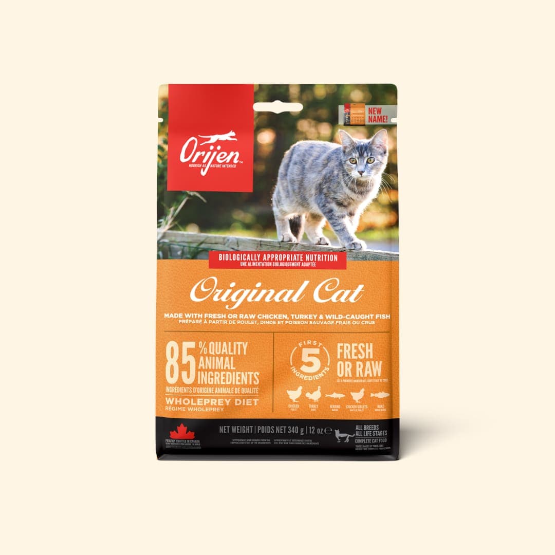 [고양이] 오리젠 오리지날 캣 340g
