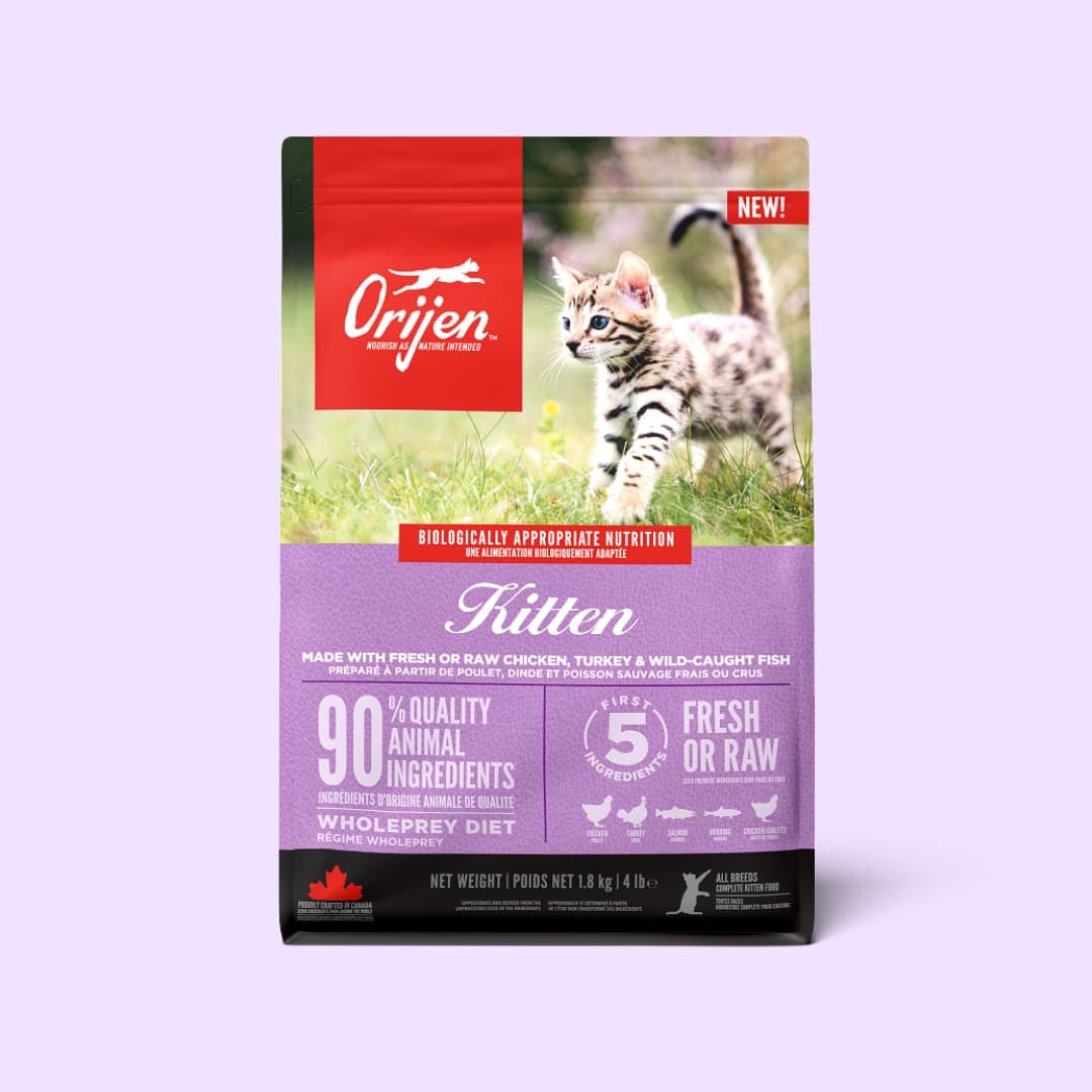 [고양이] 오리젠 키튼 1.8kg