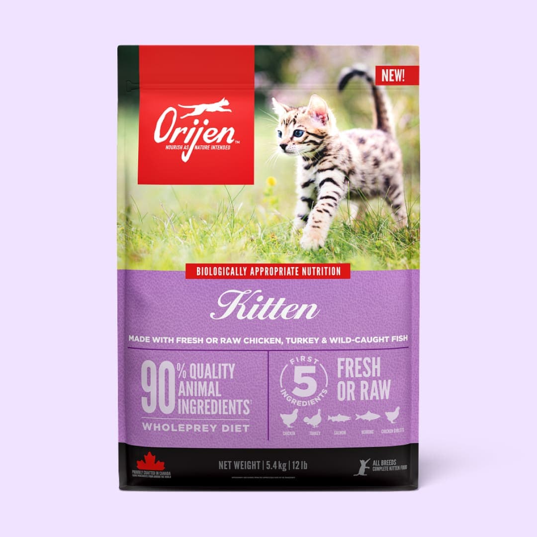 [고양이] 오리젠 키튼 5.4kg