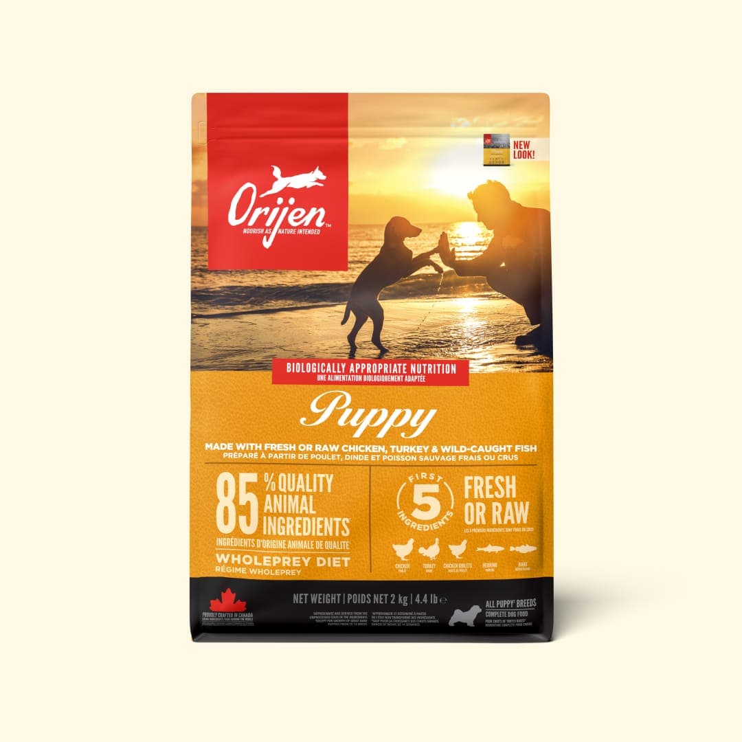 [강아지] 오리젠 퍼피 2kg