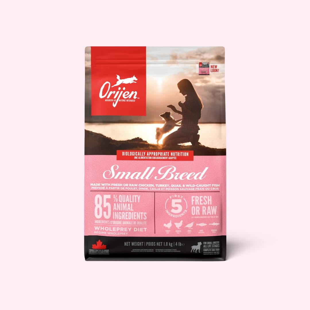 [강아지] 오리젠 스몰브리드 1.8kg