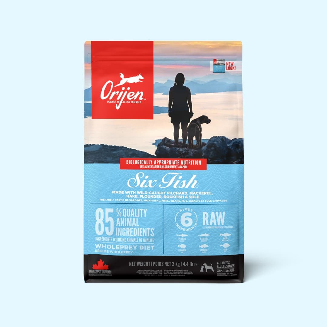 [강아지] 오리젠 식스피쉬 독 2kg
