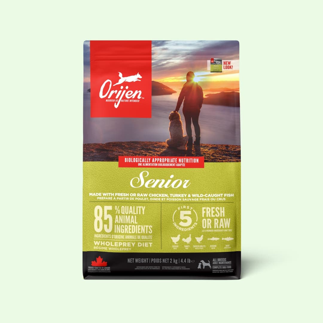 [강아지] 오리젠 시니어 독 2kg