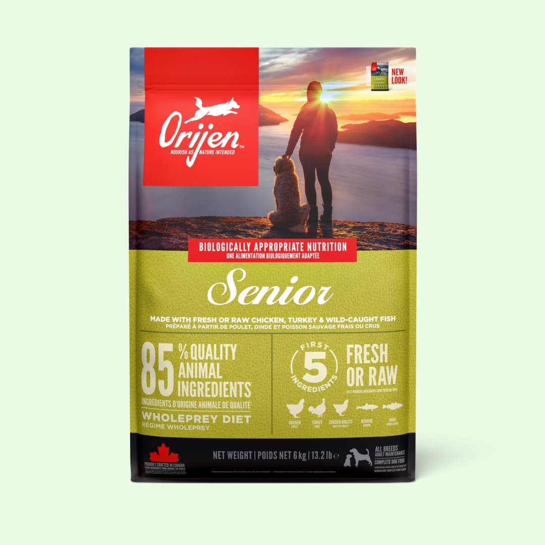 [강아지] 오리젠 시니어 독 6kg