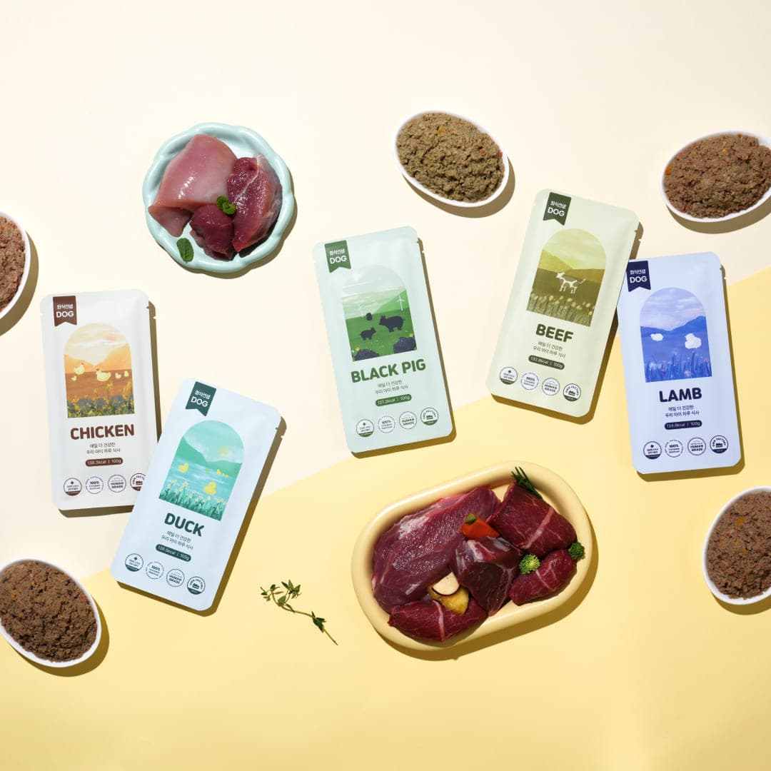 [강아지] 포옹 화식선생 5가지 맛 체험 패키지(100gX5개입)