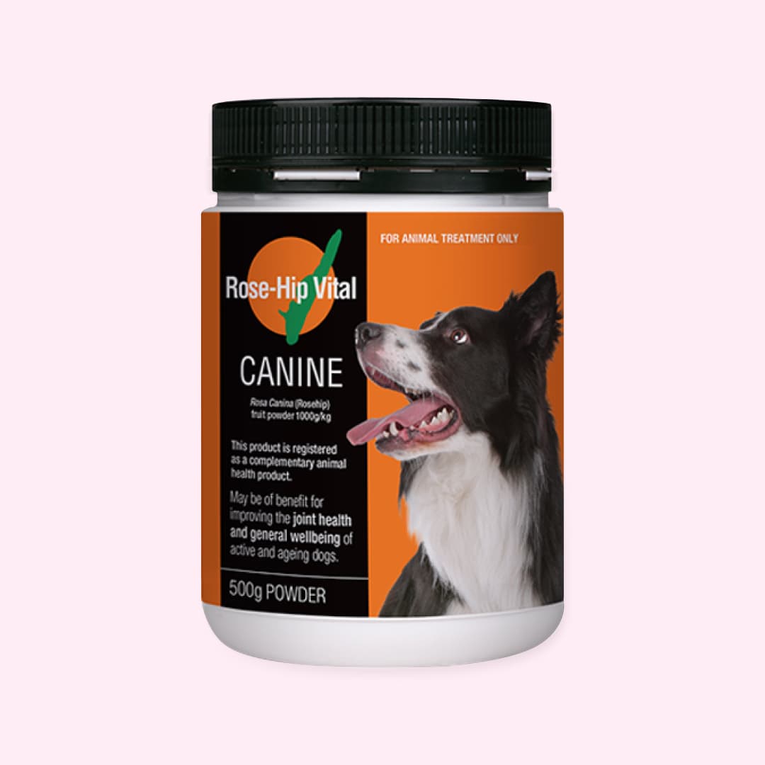 [공용] 로즈힙 바이탈 케이나인 종합 영양제 500g