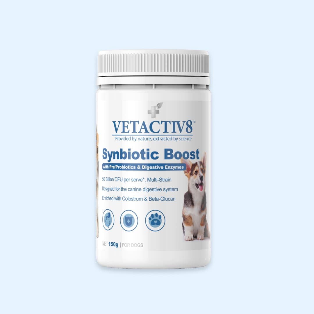 [공용] 벳액티브8 신바이오틱 150g (유산균)