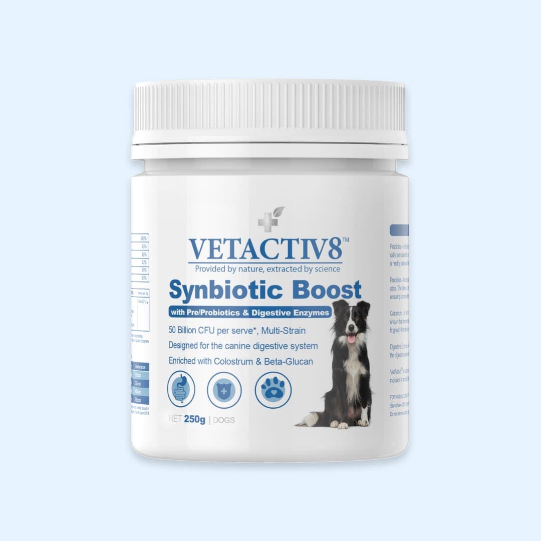 [공용] 벳액티브8 신바이오틱 250g (유산균)