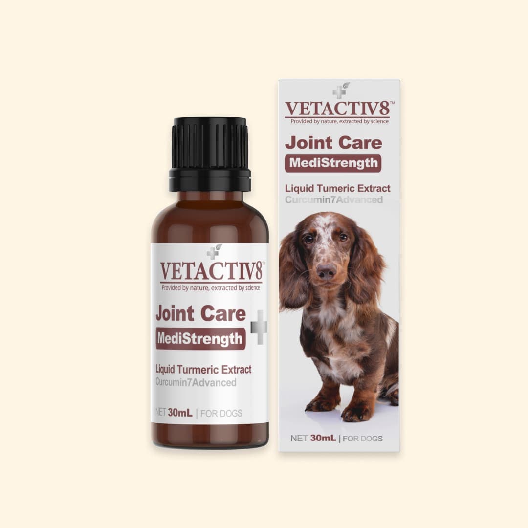 [공용] 벳액티브8 조인트 케어(커큐민) 30ml