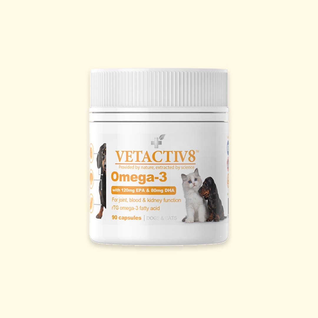 [공용] 벳액티브8 오메가3 (90캡슐)