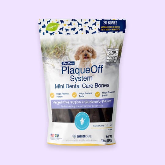 강아지 치석제거 덴탈껌 프로덴 플라그오프 덴탈케어 본 미니 블루베리 혼합야채, 28% 적립 혜택 제공