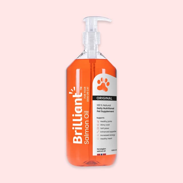 강아지 연어오일 브릴리언트 1000ml, 35% 적립 혜택 제공